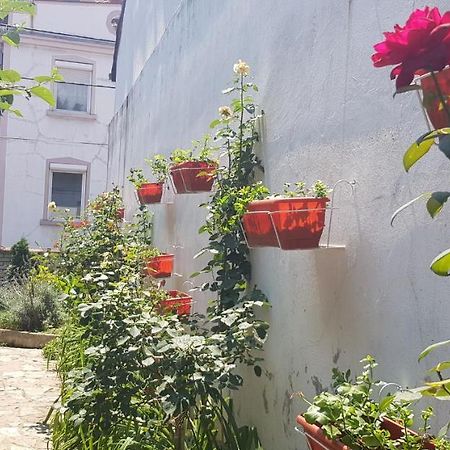 بلغراد Garden Apartments المظهر الخارجي الصورة