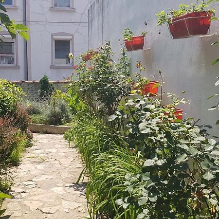 بلغراد Garden Apartments المظهر الخارجي الصورة