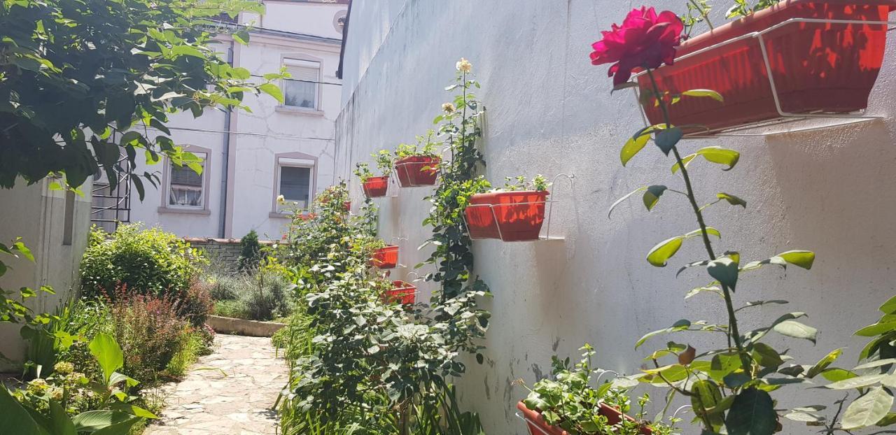 بلغراد Garden Apartments المظهر الخارجي الصورة